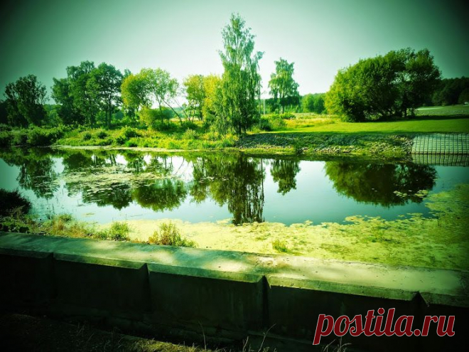 Нина Ворсо – Google+