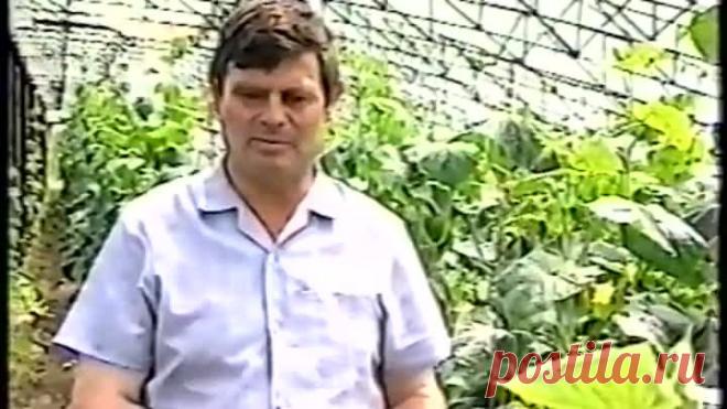 Дальморепродукт.90-е годы.