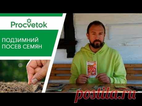 ПОДЗИМНИЙ ПОСЕВ: что посеять и когда? Урожай обеспечен!