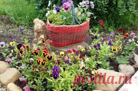 Клумбы и цветники своими руками из подручных материалов фото
