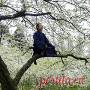ТАЙНЫ ДРЕВНИХ. : Ещё несколько слов в пользу молчания, тишины и внимания. ИНТЕРНЕТ- ПУБЛИКАЦИЯ.