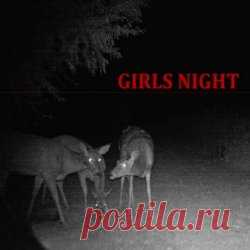 Slvmber - Girls Night (2025) Artist: Slvmber Album: Girls Night Year: 2025 Country: USA Style: Synthwave, Witch House