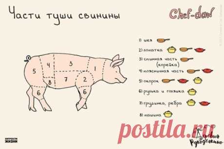 10 шпаргалок, которые пригодятся на кухне
