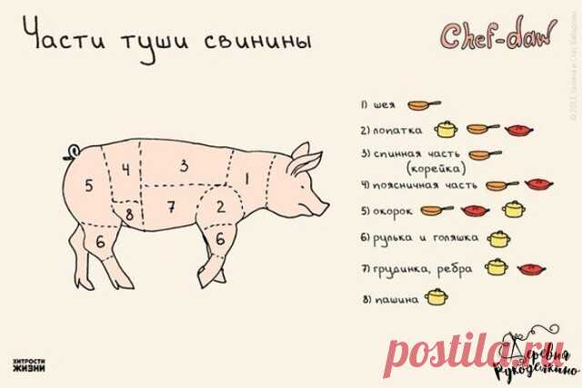 10 шпаргалок, которые пригодятся на кухне