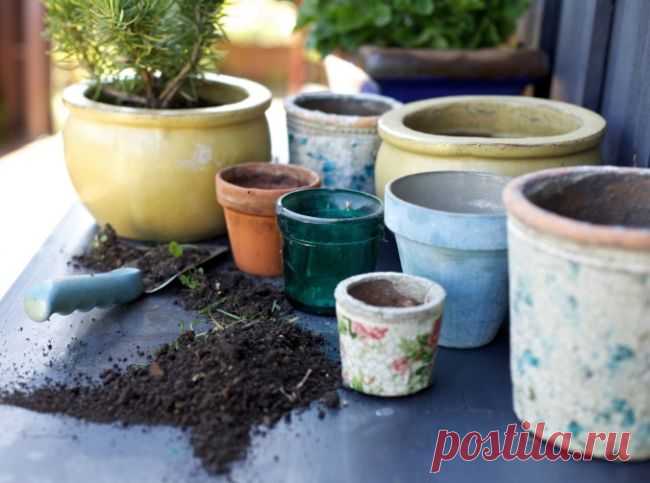 Зимние работы в саду: готовимся к началу сезона - Портал «Домашний»