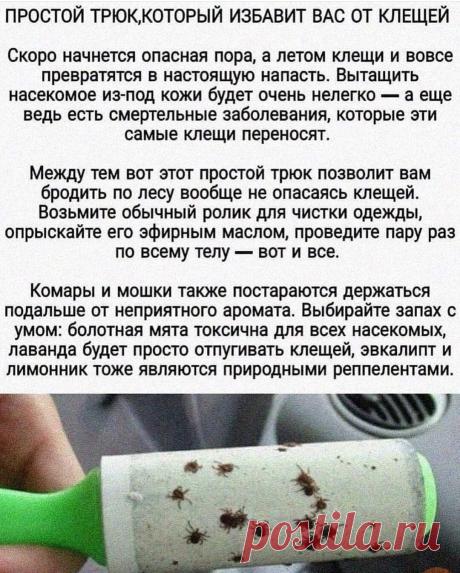 Друзья, сезон охоты клещей на нас уже начался 

Я, как и большинство горожан люблю родную  природу и стараюсь выезжать  за город при любой возможности.
Но за красивыми видами и упоительным воздухом, не стоит забывать и о мерах предосторожности.

Поэтому первым делом покупаем страховой полис для всех членов семьи.
Стоит он недорого и экономить на нем не стоит.

Светлая одежда для леса, регулярный осмотр и обработка специальными средствами увеличат ваши шансы не быть укушенн...