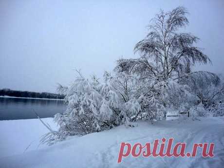 ФОТОМАСТЕРСКАЯ ПРИРОДЫ
Галина Седлова ( Герасименко)
