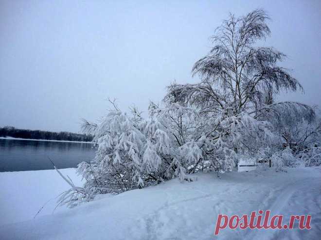 ФОТОМАСТЕРСКАЯ ПРИРОДЫ
Галина Седлова ( Герасименко)