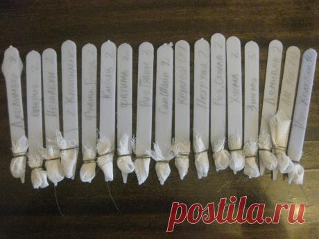 КАК ЗАМОЧИТЬ СЕМЕНА