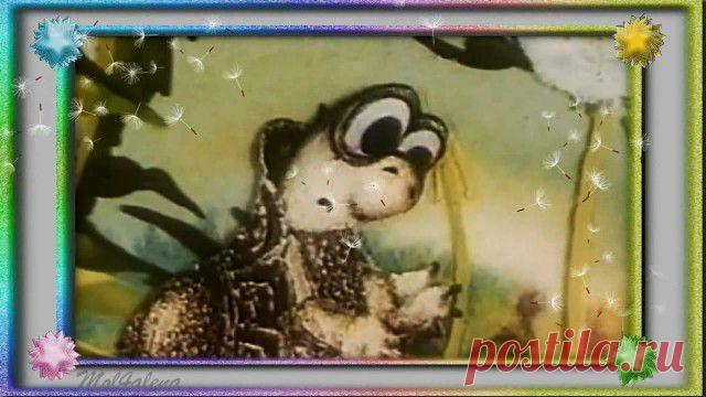 Детская песня – Черепаха - Детские видеоклипы