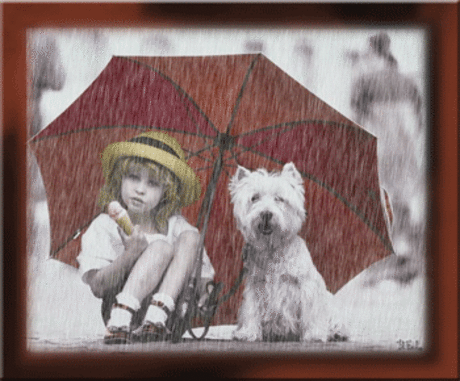 Click to see the rain | I Wish It Would Rain