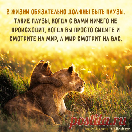 (53) Фитнес для мозга - Публикации