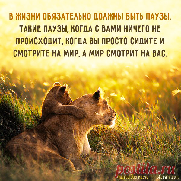 (53) Фитнес для мозга - Публикации