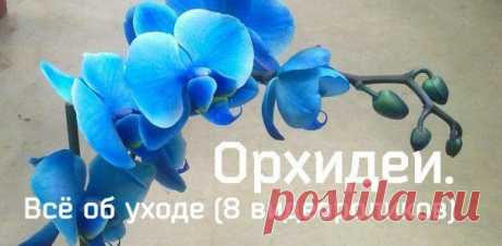 Виталий Ратников
