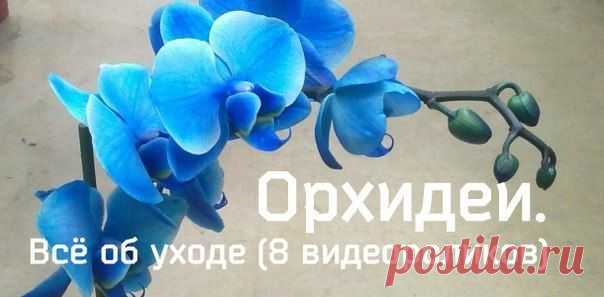 Виталий Ратников