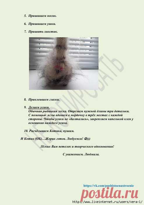Кот (ОБ)Жорик. Автор Людмила Дерюгина