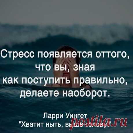 Как ведут себя знаки Зодиака в отношениях. Жми на картинку и читай! #любовь #отношения #семья #психология #сохры #одежда #сохраненки #цитаты #Косички #кудри #сохраненка #маник #дети #комната…