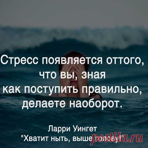 Как ведут себя знаки Зодиака в отношениях. Жми на картинку и читай! #любовь #отношения #семья #психология #сохры #одежда #сохраненки #цитаты #Косички #кудри #сохраненка #маник #дети #комната…