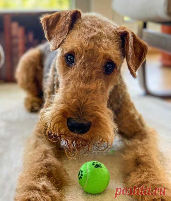 Увольнение за прогул... в праздничный день Отгремели зимние длинные праздники. Начались трудовые будни. Тишина в работе необычная: ни судов, ни жалоб, ни проверок. Счастливая,...