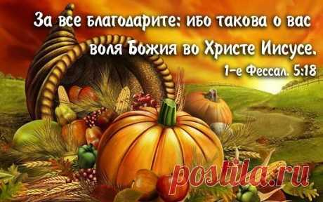 image (550×344)