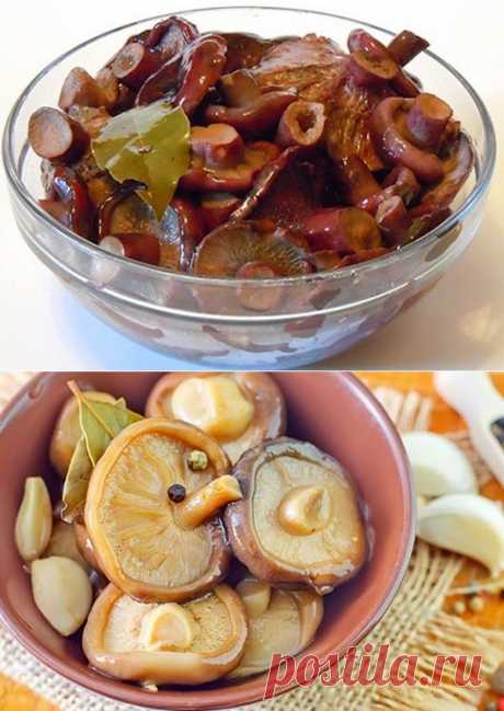 Прекрасная закуска : Соленые грузди