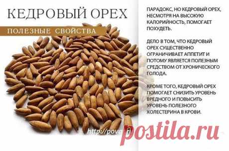 Академия здоровой жизни - кедровый орех
