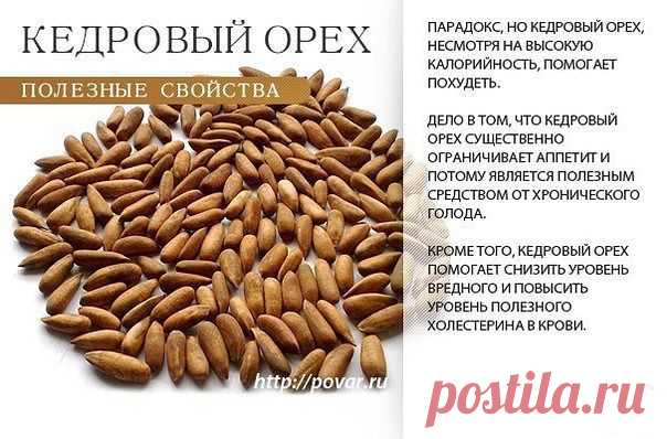 Академия здоровой жизни - кедровый орех