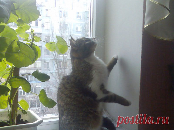 ЧТО ТАМ?