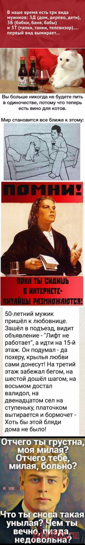 Картинки с юмором: прикольные надписи и фразы | В темпі життя