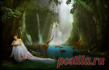 Фотограф Agah Permadi - 13 фото. Фотографии Ольга Дудина.