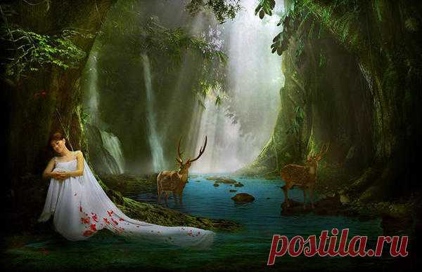 Фотограф Agah Permadi - 13 фото. Фотографии Ольга Дудина.