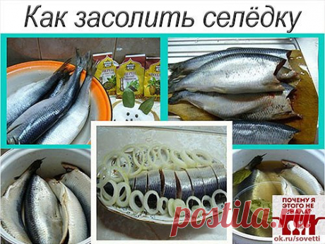 Как засолить селедку
А какая получается вкуснятина… Больше никогда не покупаю магазинную соленую селедку!
Скажу вам более… этот рецепт великолепно подходит для засолки скумбрии и любой красной рыбы.
Ингредиенты
- сельдь – 1 кг;
- поваренная соль – 6 стол. ложки без горки;
- перец душистый горошком – 10 шт.;
- сахарный песок – 3 стол. ложки;
- лавровый лист – 3-4 шт.;
- вода – 1 литр.
Приготовление
1. Наливаем в кастрюлю воду и доводим ее до кипения.
2. Добавляем к воде сахарный песок, поварен