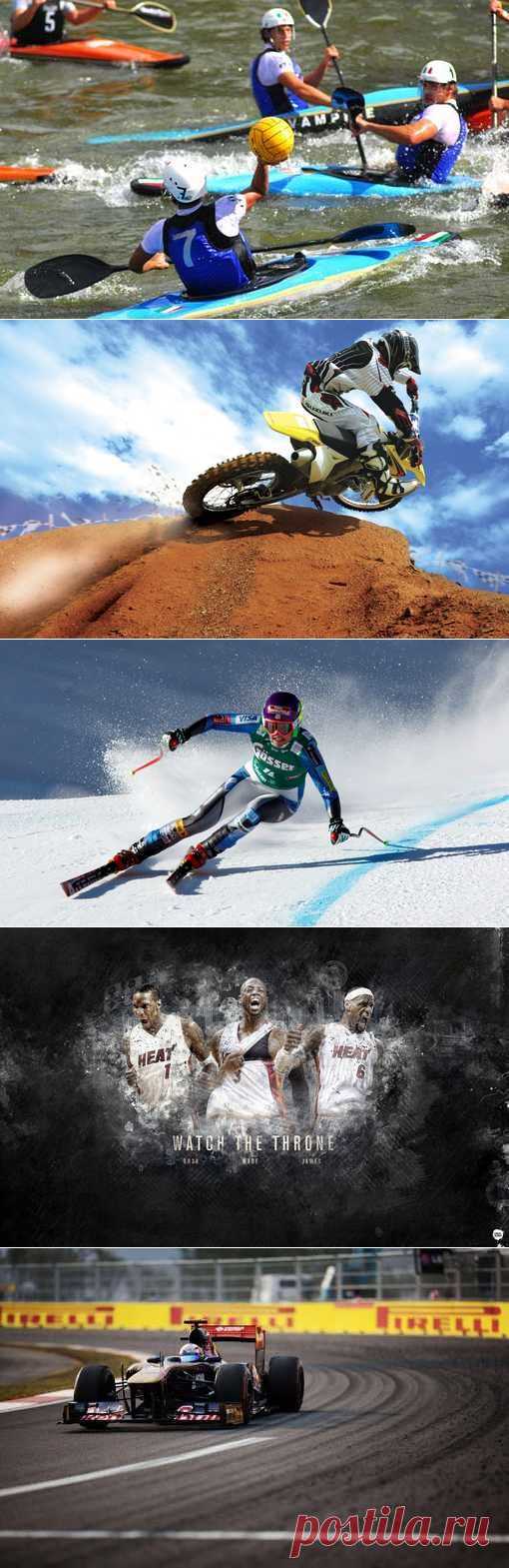 Скелетон, Дайвинг, Акробатический рок-н-ролл, Параглайдинг. (1/1) - Спортивный форум. - Спортивный сайт