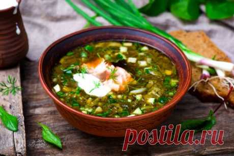 Ботвинья с семгой - рецепт с пошаговыми фото / Меню недели