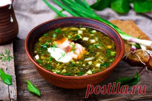 Ботвинья с семгой - рецепт с пошаговыми фото / Меню недели