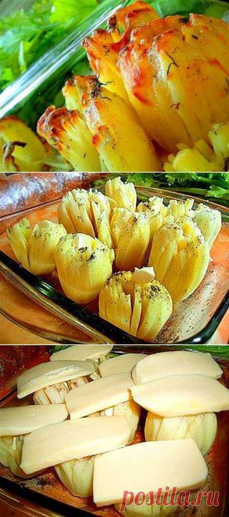 Картофель «Дофинэ» .