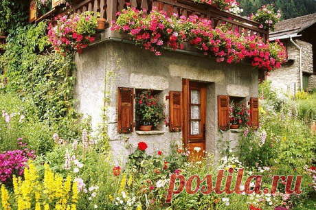 Простые советы садоводам:
1. Соседство картофеля и яблони не приведет ни к чему хорошему. Это поспособствует накоплению токсинов в почве, от чего в первую очередь пострадают яблони.

2. Также не желательно соседство груши и яблони с розой, пихтой, сиренью, белой акацией и барбарисом, поскольку эти растения могут подавлять рост плодовых деревьев.

3. Вреден растениям частый и поверхностный полив. Влажная поверхность земли предотвращает поступление кислорода к корневой систе...