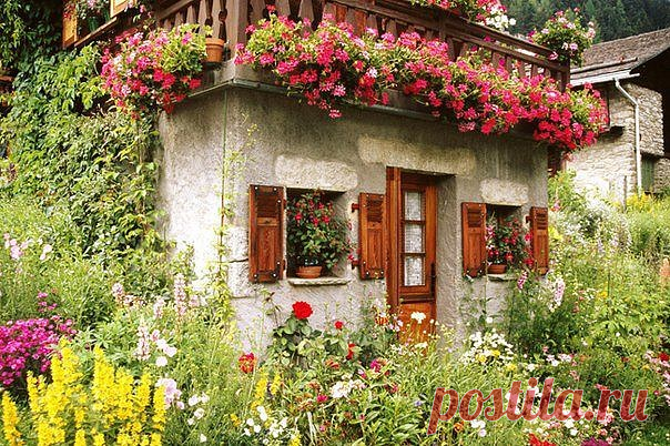 Простые советы садоводам:
1. Соседство картофеля и яблони не приведет ни к чему хорошему. Это поспособствует накоплению токсинов в почве, от чего в первую очередь пострадают яблони.

2. Также не желательно соседство груши и яблони с розой, пихтой, сиренью, белой акацией и барбарисом, поскольку эти растения могут подавлять рост плодовых деревьев.

3. Вреден растениям частый и поверхностный полив. Влажная поверхность земли предотвращает поступление кислорода к корневой систе...