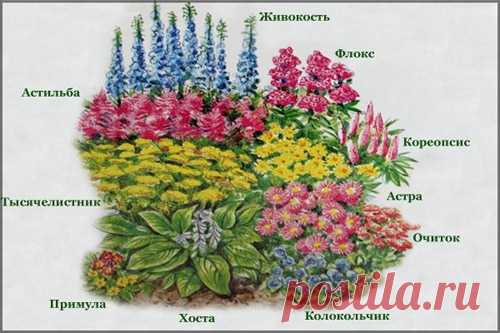 1382783551_cvety-na-klumbe-5.jpg (500×333)