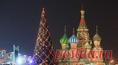 Главную новогоднюю ёлку России спилили в Подмосковье. Главную новогоднюю ёлку России, найденную в Рузском городском округе Московской области, спилили. Читать далее