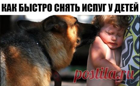 (1) Одноклассники