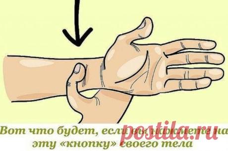 Зажмите в этом месте на 1 минуту и посмотрите, что произойдет с вами! | Golbis