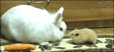 Мой Мир@Mail.Ru