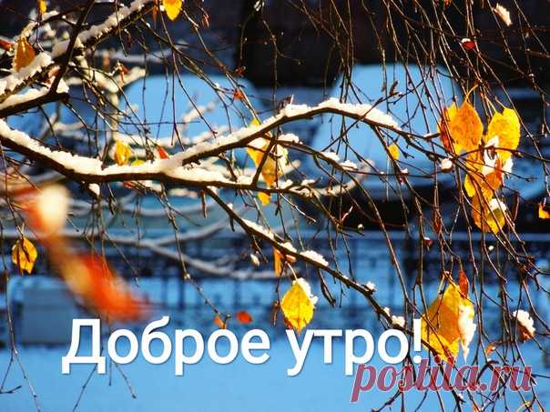 Всем доброго осеннего утра!😊