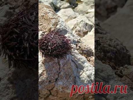 после шторма #хорватия #croatia #море