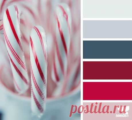 Design Seeds® | find your palette