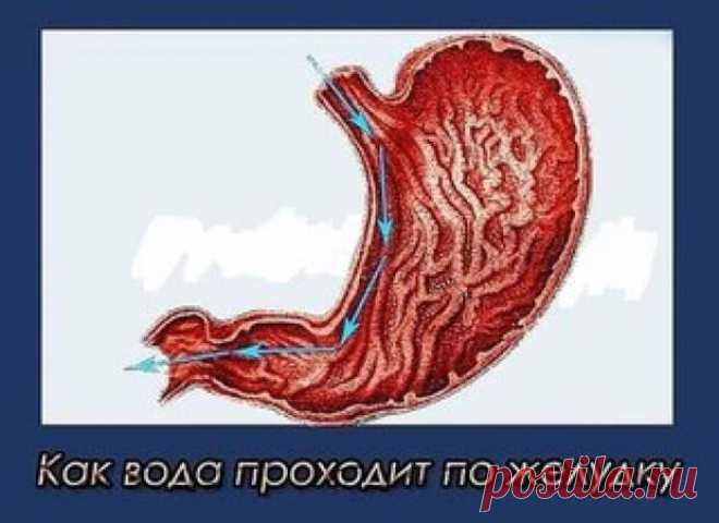 Самый простой секрет долголетия