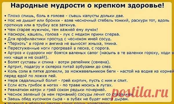 Полезные навыки - Леди Mail.ru