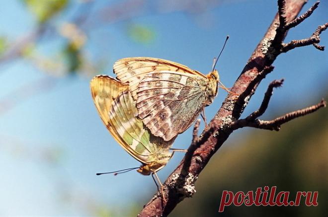 Яркие фотографии Николая Кузнецова — Фотоискусство