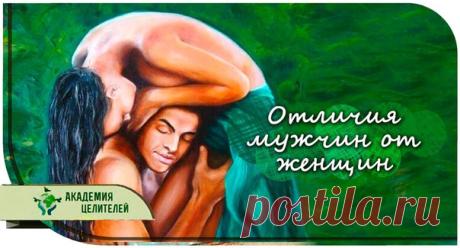 Отличие мужчин от женщин на энергетическом уровне